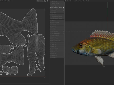 东方快乐鱼 3D 模型