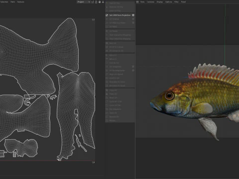 Eastern Happy fish 3D Model