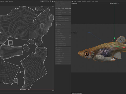 Zanzara orientale Modello 3D