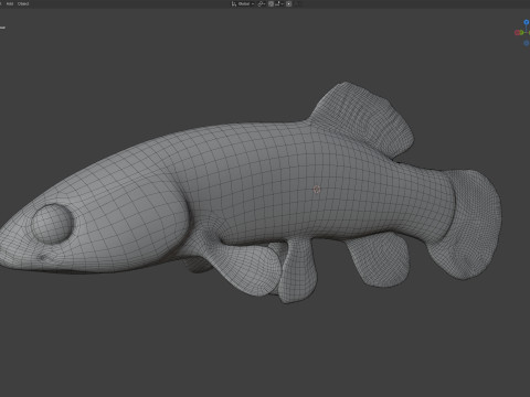 Pez Mudminnow del este Modelo 3D