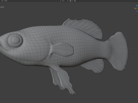 エバーグレーズ ピグミーマンボウ 3Dモデル