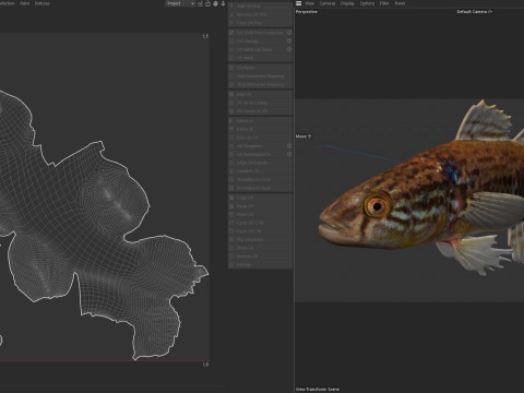 Pesce grasso dormiente Modello 3D