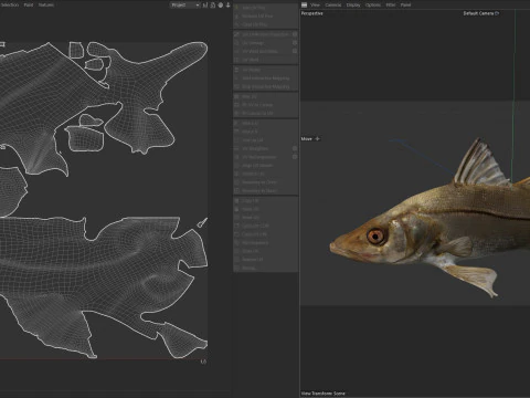 Fat Snook fish 3D Model