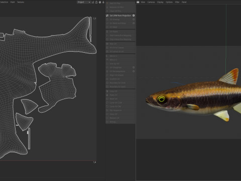 Pesce Flagfin Shiner Modello 3D