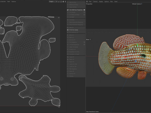 Flagfish 3D Modell