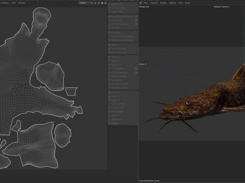 Bagre de cabeza plana Modelo 3D