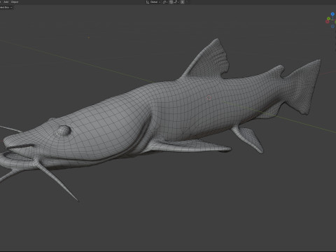 Bagre de cabeza plana Modelo 3D