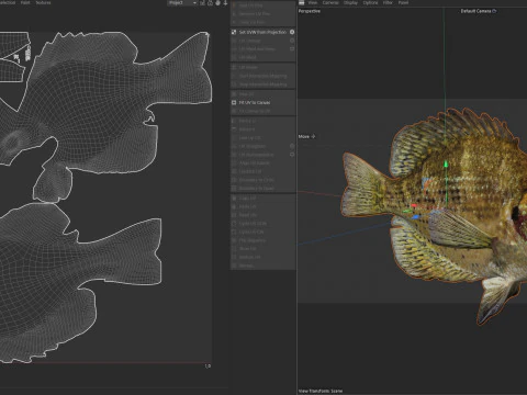 Flier fish 3D Model