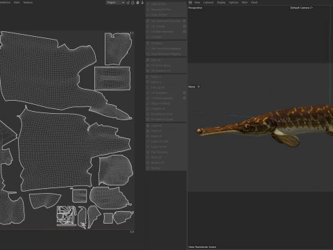 Florida Gar fish 3D Model