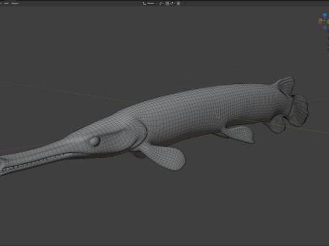 Florida Gar-vis 3D Model