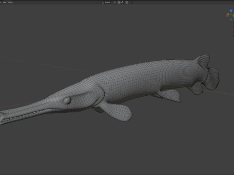 Florida Gar fish 3D Model