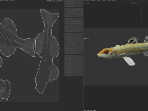 Флоридська піщана риба 3D Модель