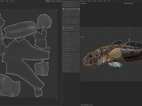 Freshwater Goby fish 3D Model