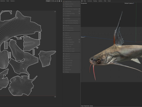 Pesce gatto Gafftopsail Modello 3D