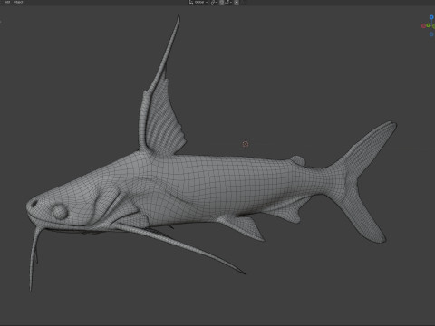 Pesce gatto Gafftopsail Modello 3D