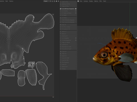 Pesce branzino gigante Modello 3D