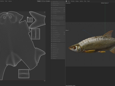 Pesce Shiner dorato Modello 3D