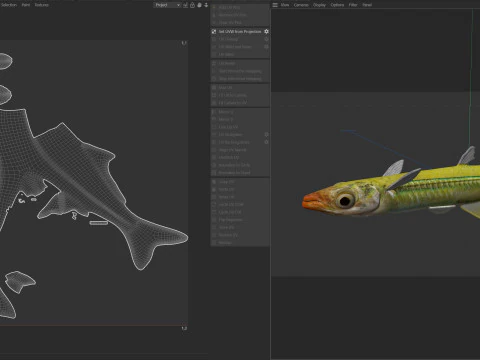 Golden Silverside fish 3D Model