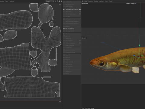 Złota rybka Topminnow Model 3D