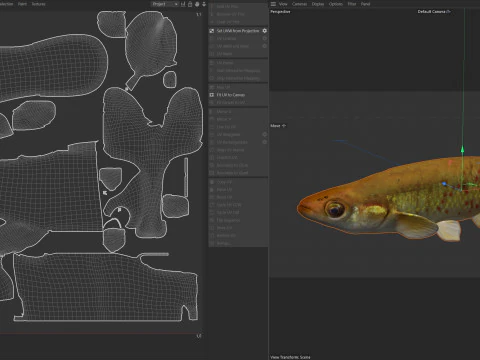 Golden Topminnow fish 3D Model