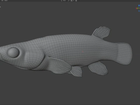 Golden Topminnow fish 3D Model