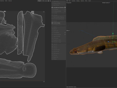 Goldline Snakehead fish 2 3D Model