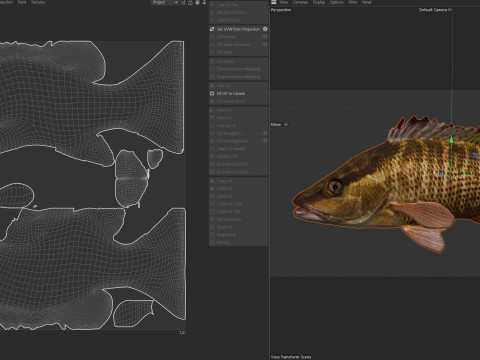 Poisson vivaneau gris Modèle 3D