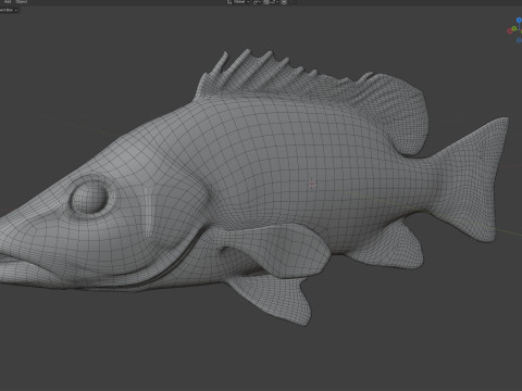 Poisson vivaneau gris Modèle 3D