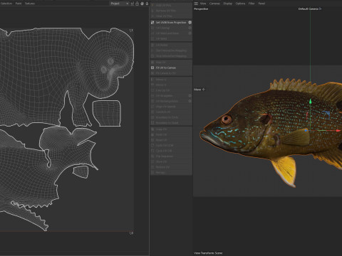 Pesce Luna Verde Modello 3D