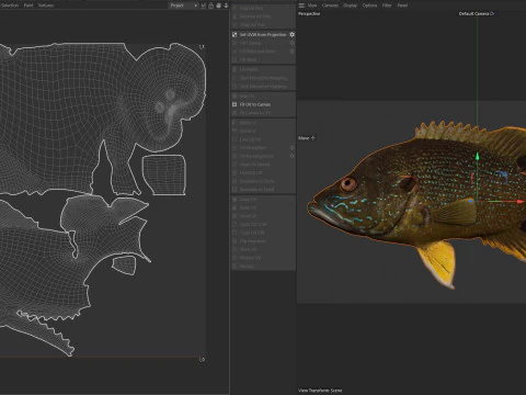 Pesce Luna Verde Modello 3D
