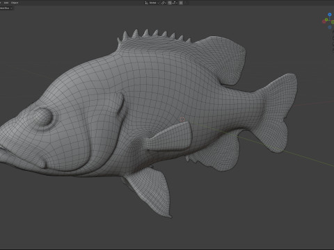 Pesce Luna Verde Modello 3D