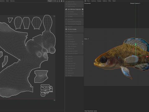 Gulf Coast Pygmy Sunfish 3D Model