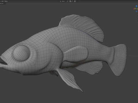Ikan Matahari Kerdil Pantai Teluk Model 3D