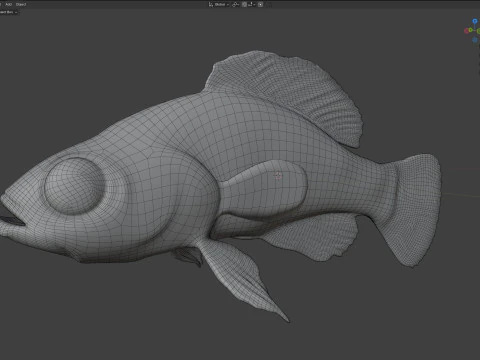 Gulf Coast Pygmy Sunfish 3D Model