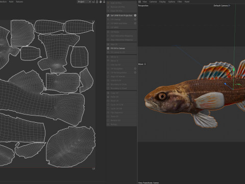 Golfo Darter Modello 3D