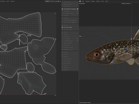 Killifish del Golfo Modello 3D
