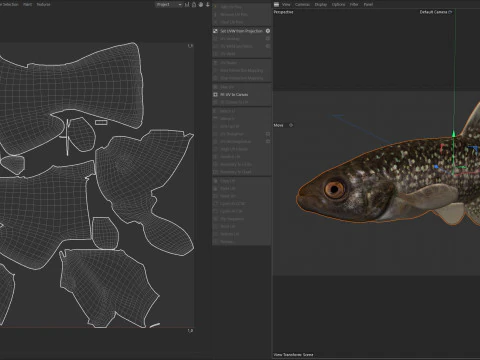 Gulf Killifish 3D Model