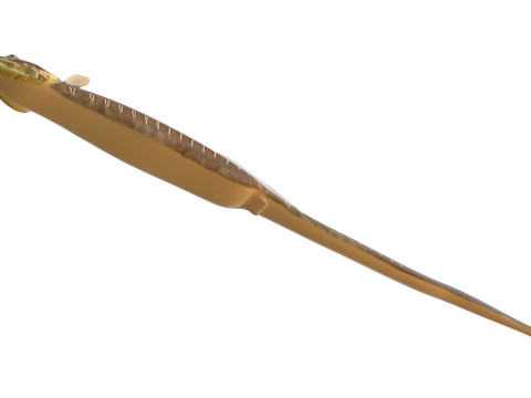 Pesce ago del Golfo Modello 3D