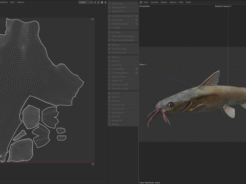 Harde meerval 3D Model