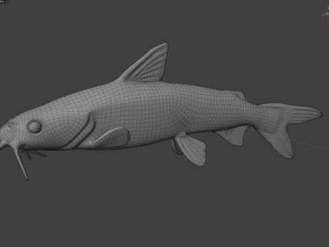 Harde meerval 3D Model