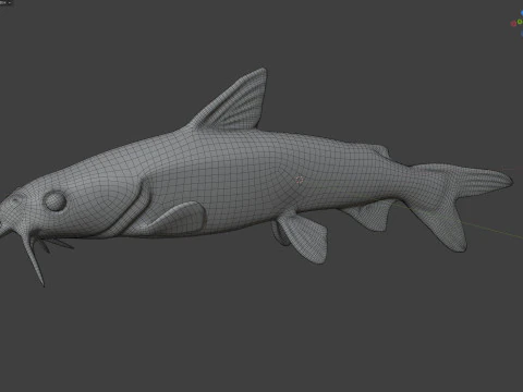 Hardhead Catfish 3D Model