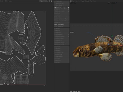 Darter Arlecchino Modello 3D