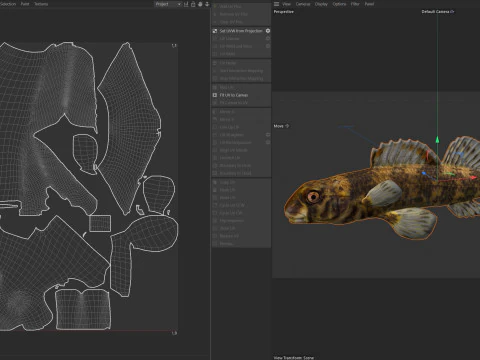 Harlequin darter 3D Model