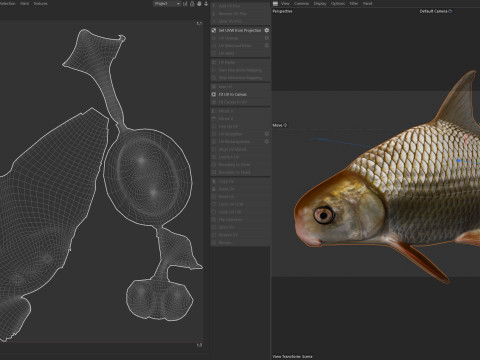 Highfin karperzuiger 3D Model