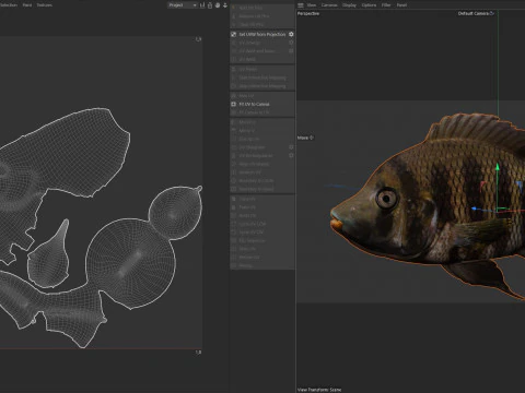 Hornet Tilapia 3D Model