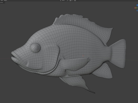 Tilapia calabrone Modello 3D