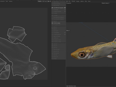 अंतर्देशीय सिल्वरसाइड 3D मॉडल