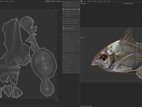 Irish Pompano 3D Model
