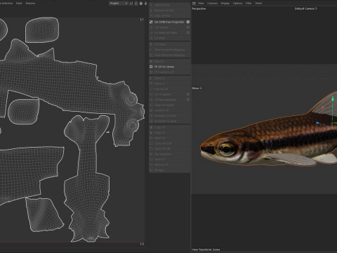 Méné couleur fer Modèle 3D