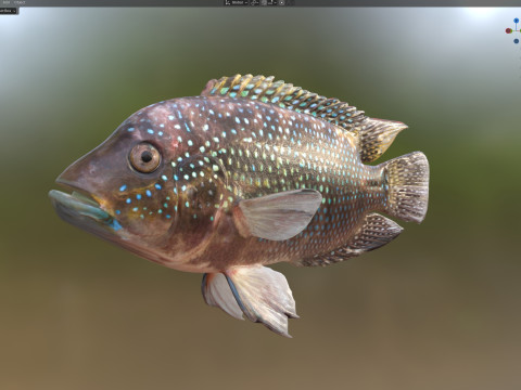 Jack Dempsey Modello 3D